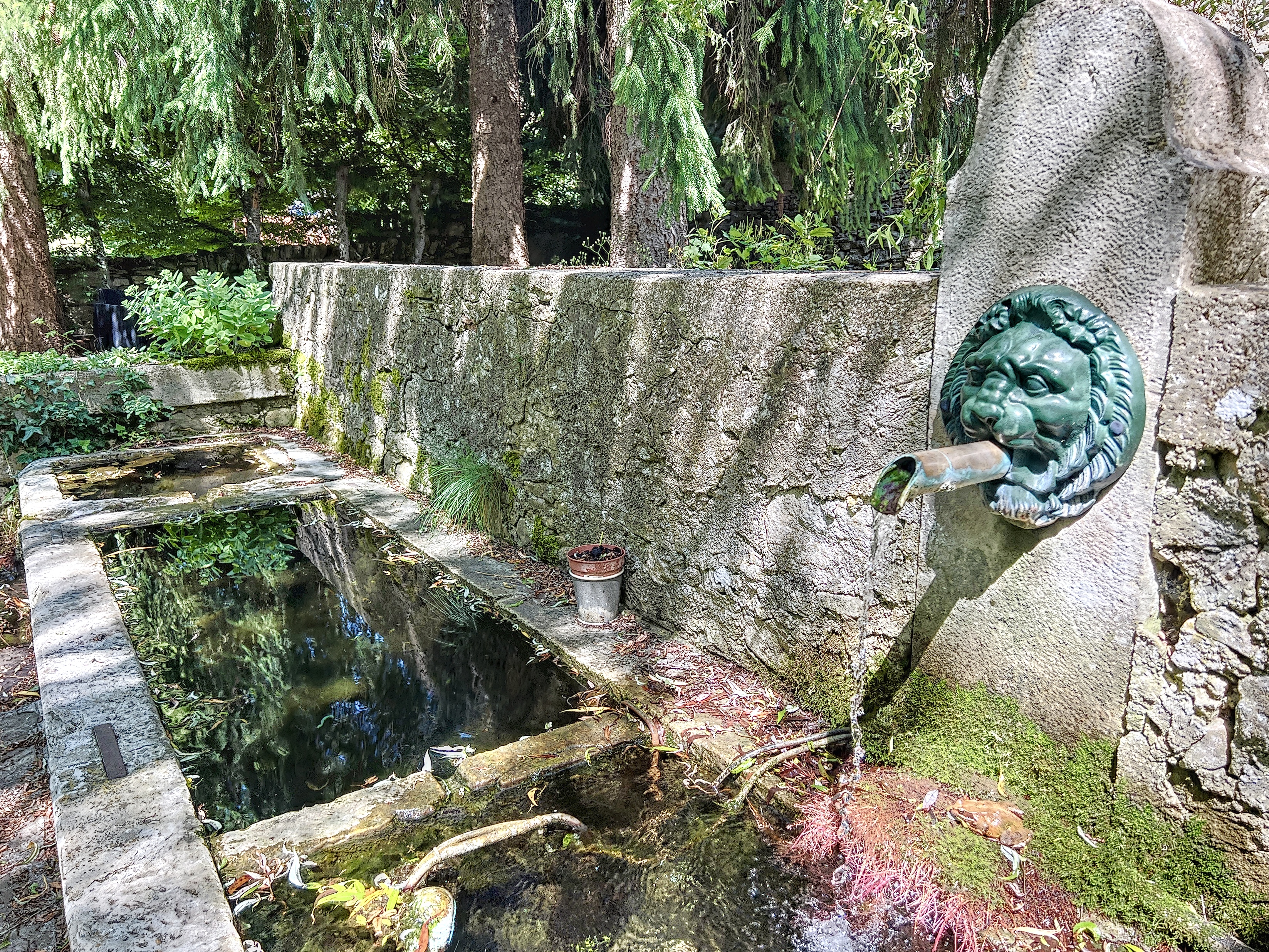 L'eau coule au travers d'une gargouille à tête de lion. Elle arrive dans un bassin, dans un environnement arboré.