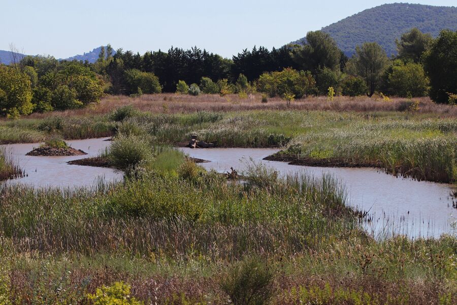 Parc nature du Plan de la Garde