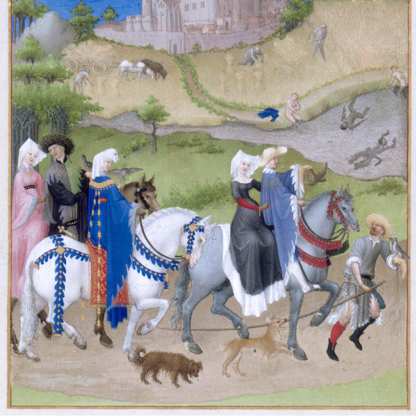 Rencontre thématique : Relation entre Hommes et Animaux ; une Histoire à poils et à plumes