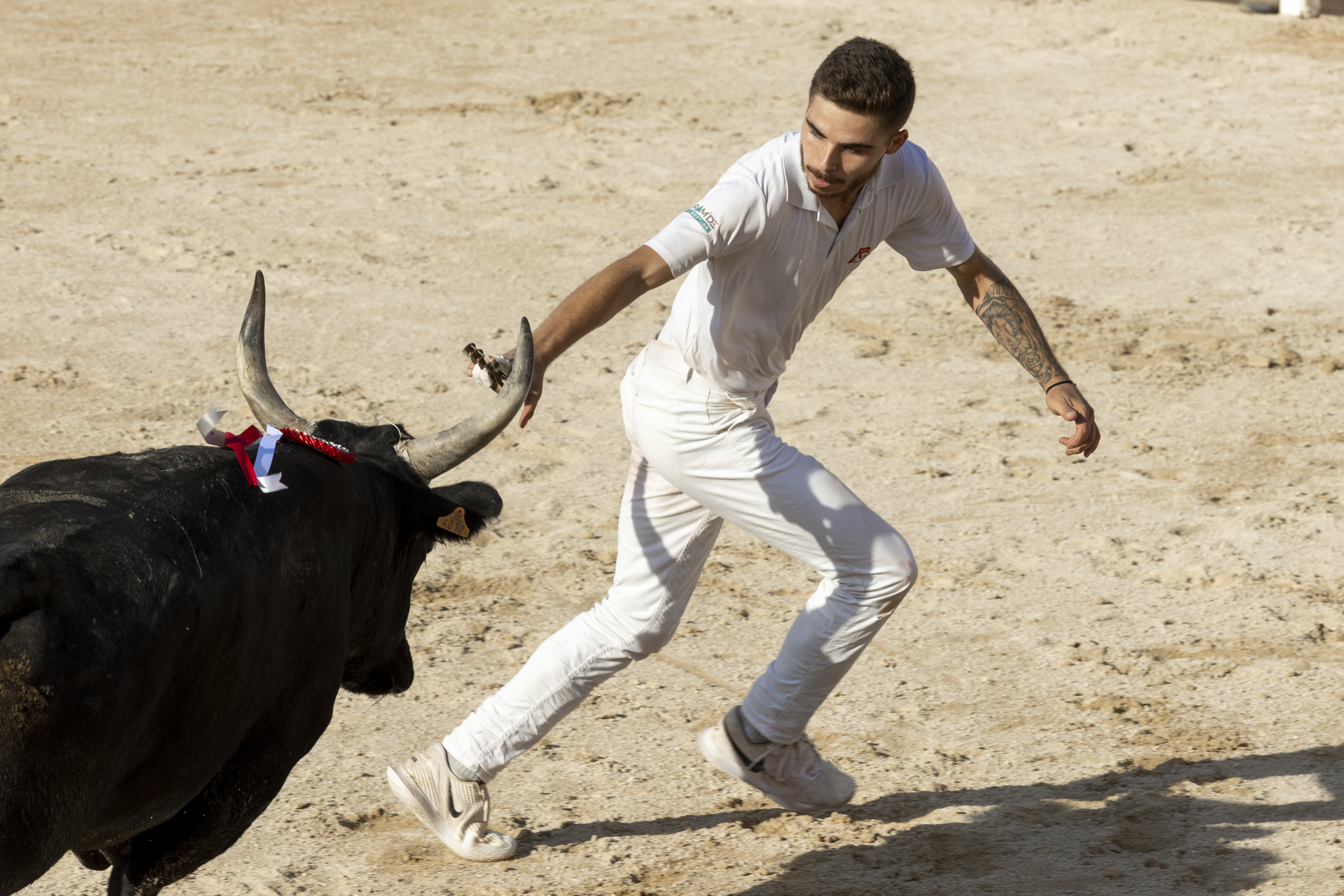 Journée de la Maintenance et finale des courses de taù