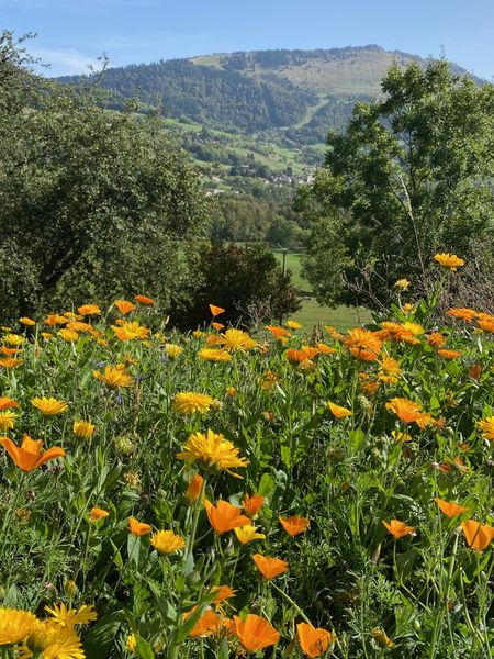 La_Fontaine_d_Argence