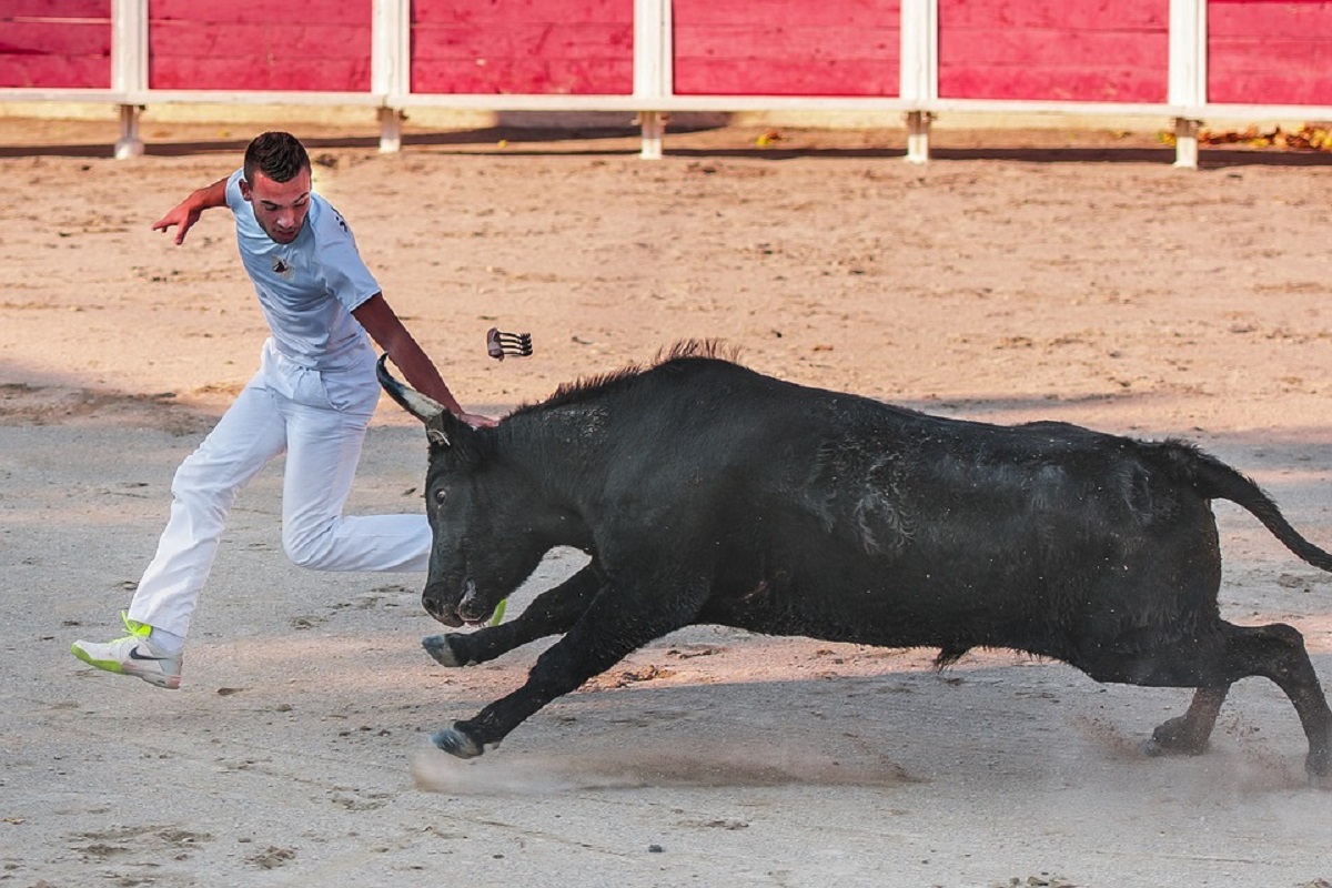 Course camarguaise - défilé de la Finale du Trophée Famille Chauvet