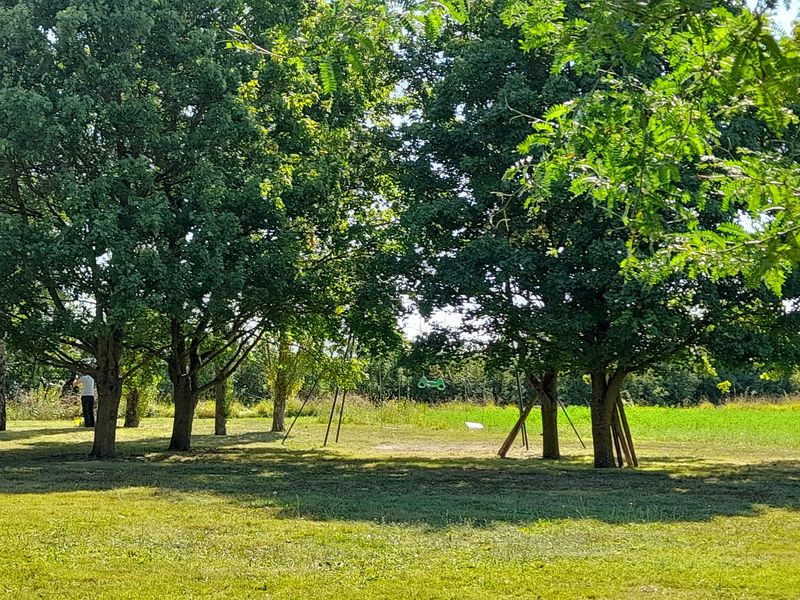 Jardin