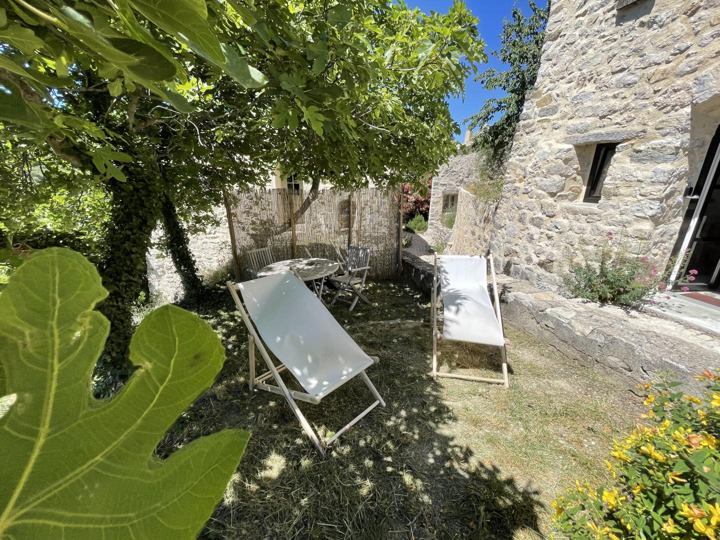 le petit jardin, entre ombre du figuier et soleil
