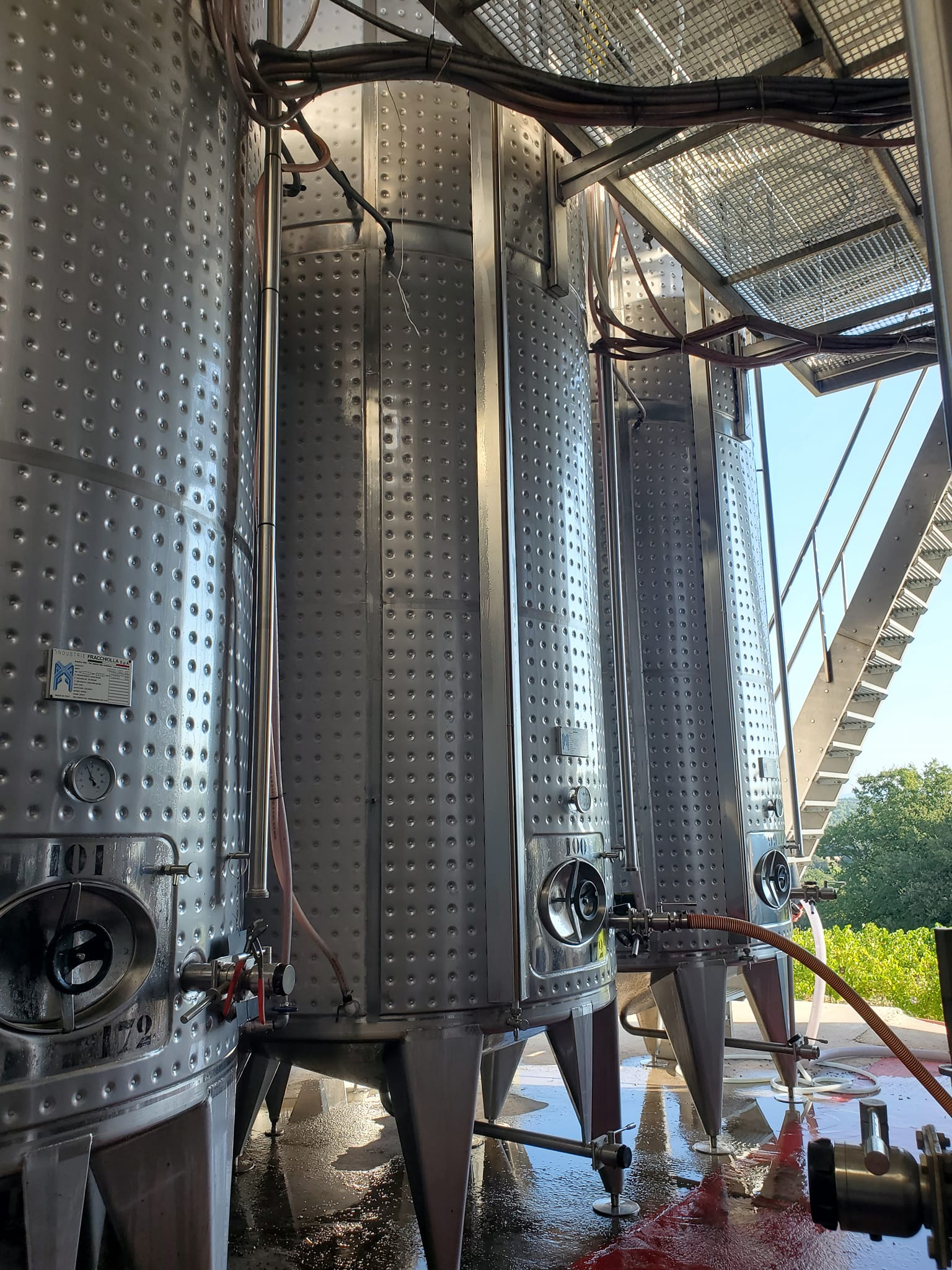 Domaine l'Oppidum des Cauvins — photo 2