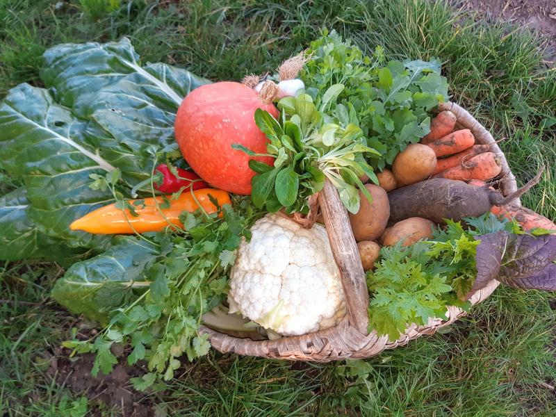 Ferme Sapousse