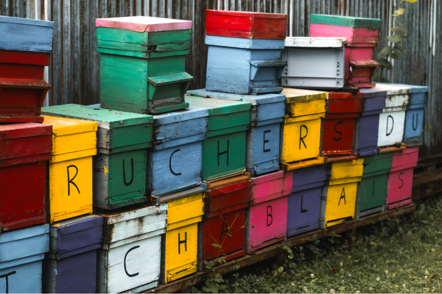 Rucher du Haut chablais