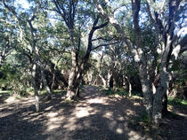 Parc de Vaugrenier - Villeneuve-Loubet