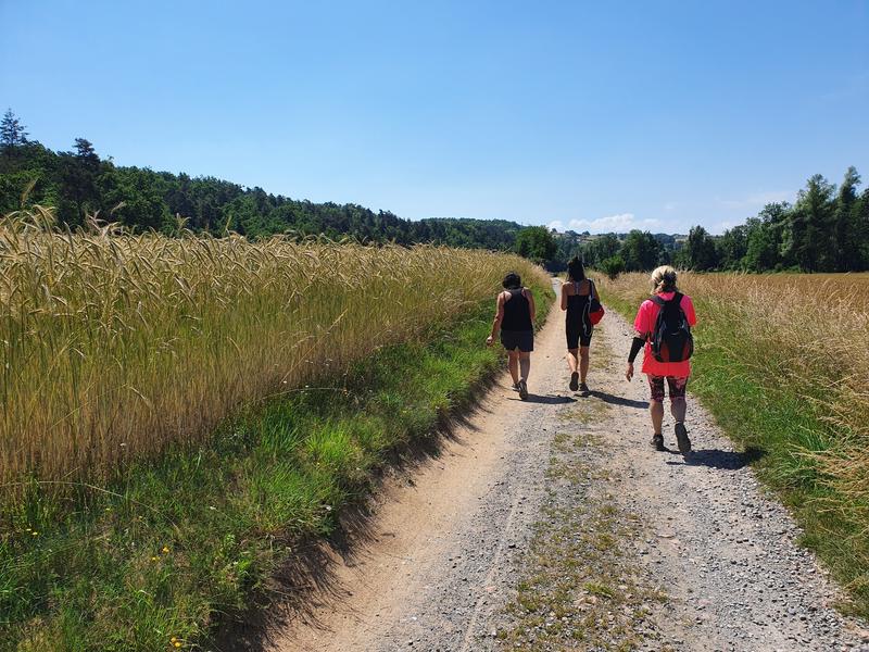 Marche organisée_Salvizinet