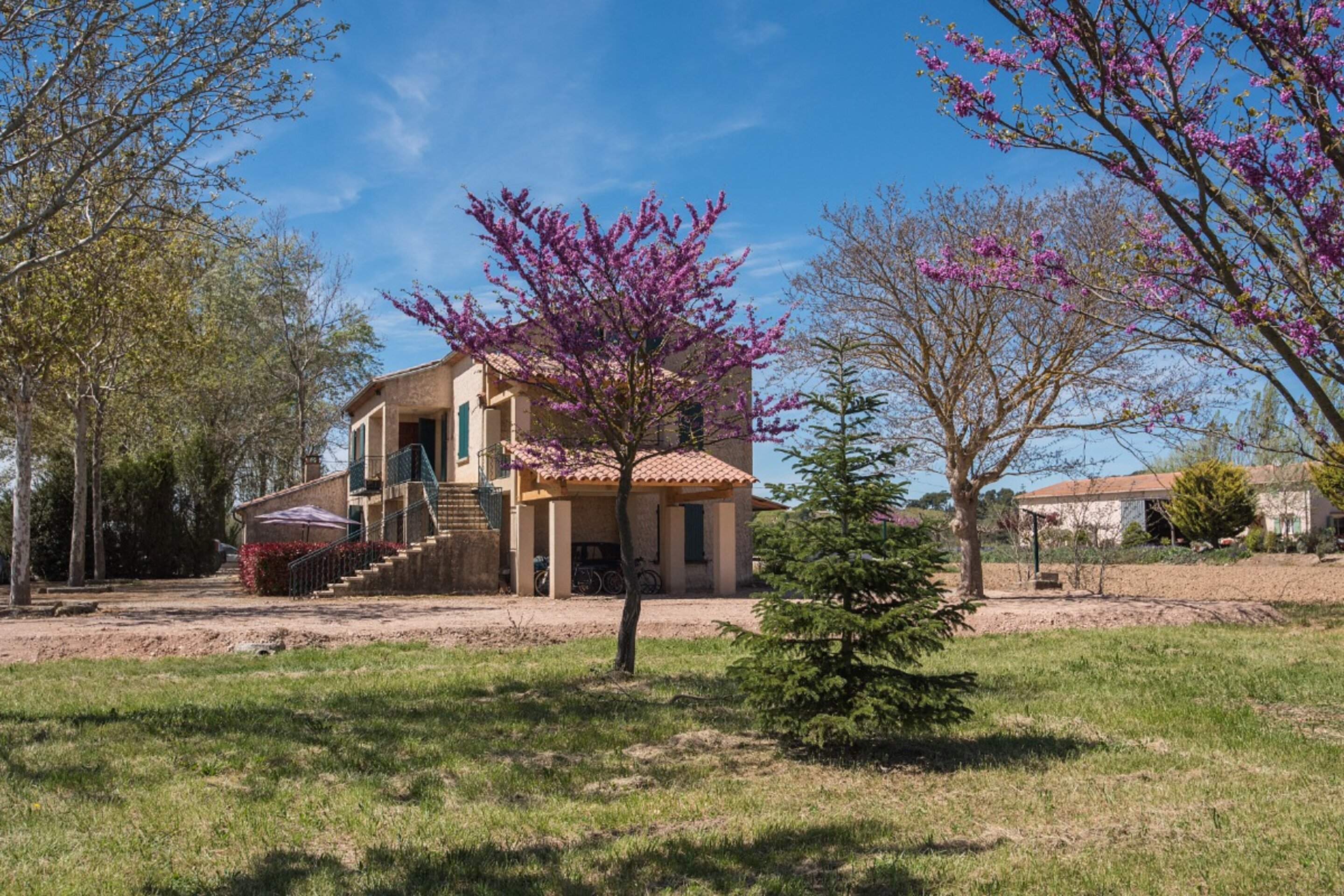 Le Petit Galla, Pertuis - photo 4
