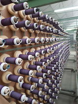 Visite entreprise Tassinari