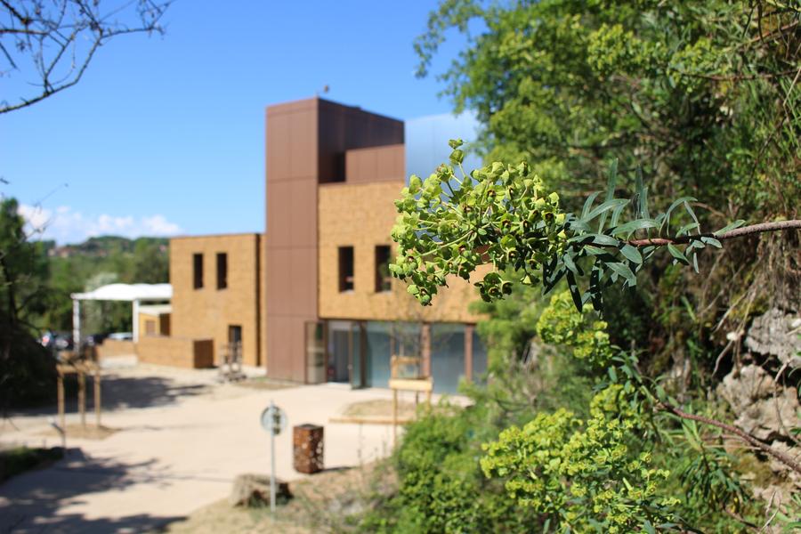 Fossilea_Façade arrière