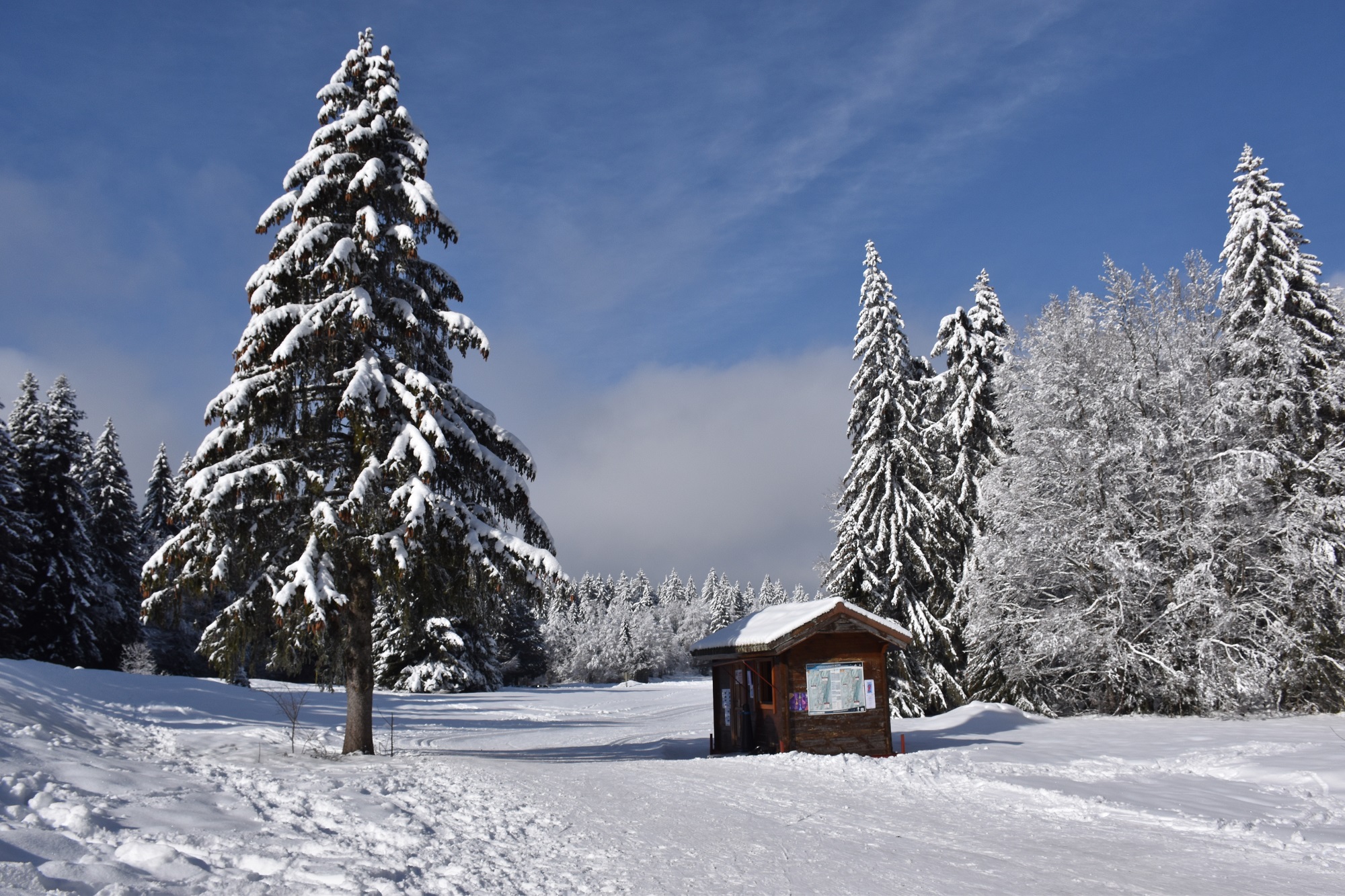 Piste verte de ski de fond du Plateau de Retord : La Vezeronce