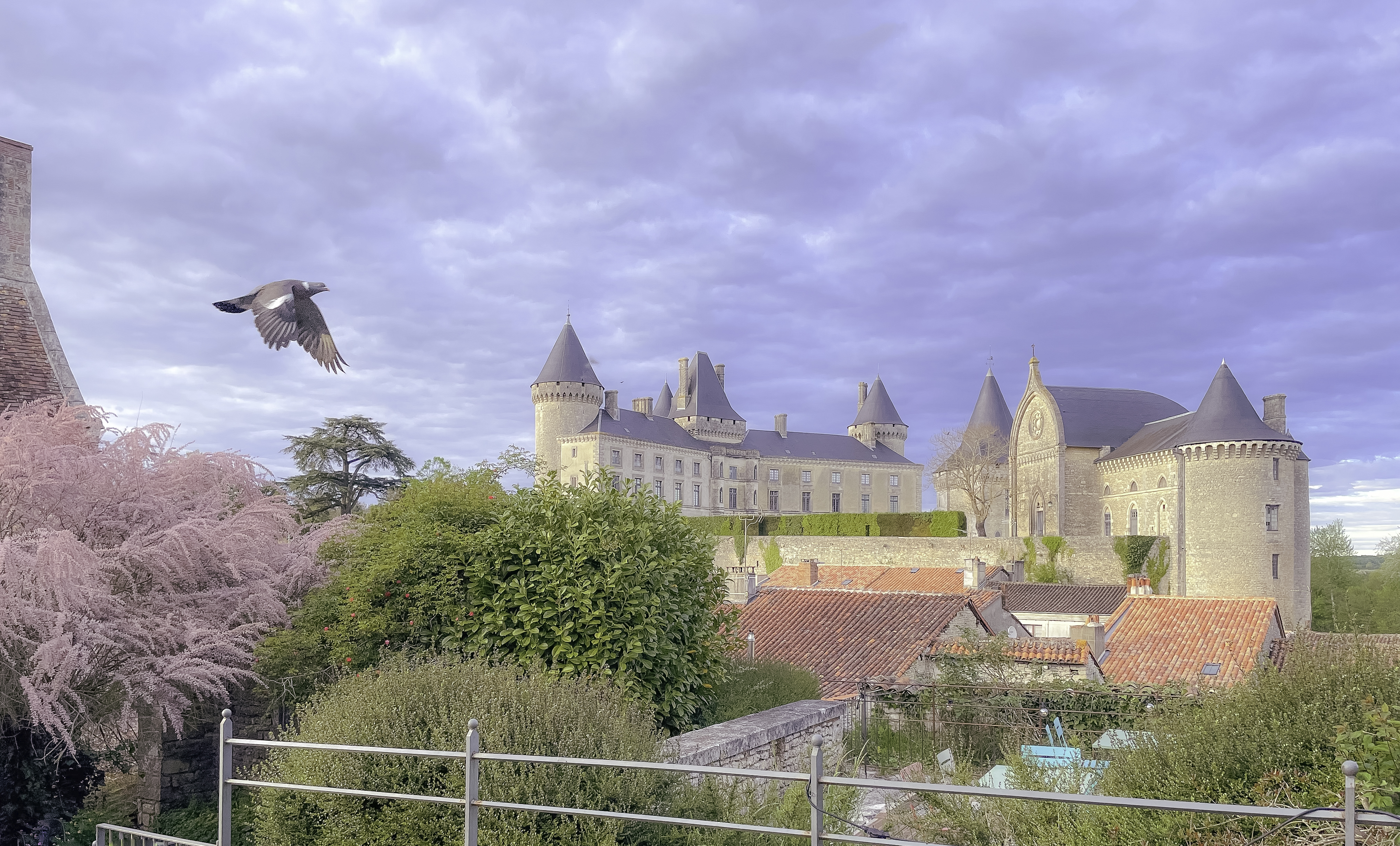 Venez découvrir la douce musique de la Charente qui longe ce beau village de  Verteuil sur Charente_Verteuil-sur-Charente