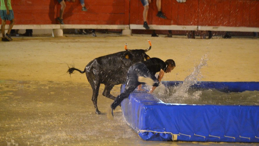 Taureau – piscine et clowns