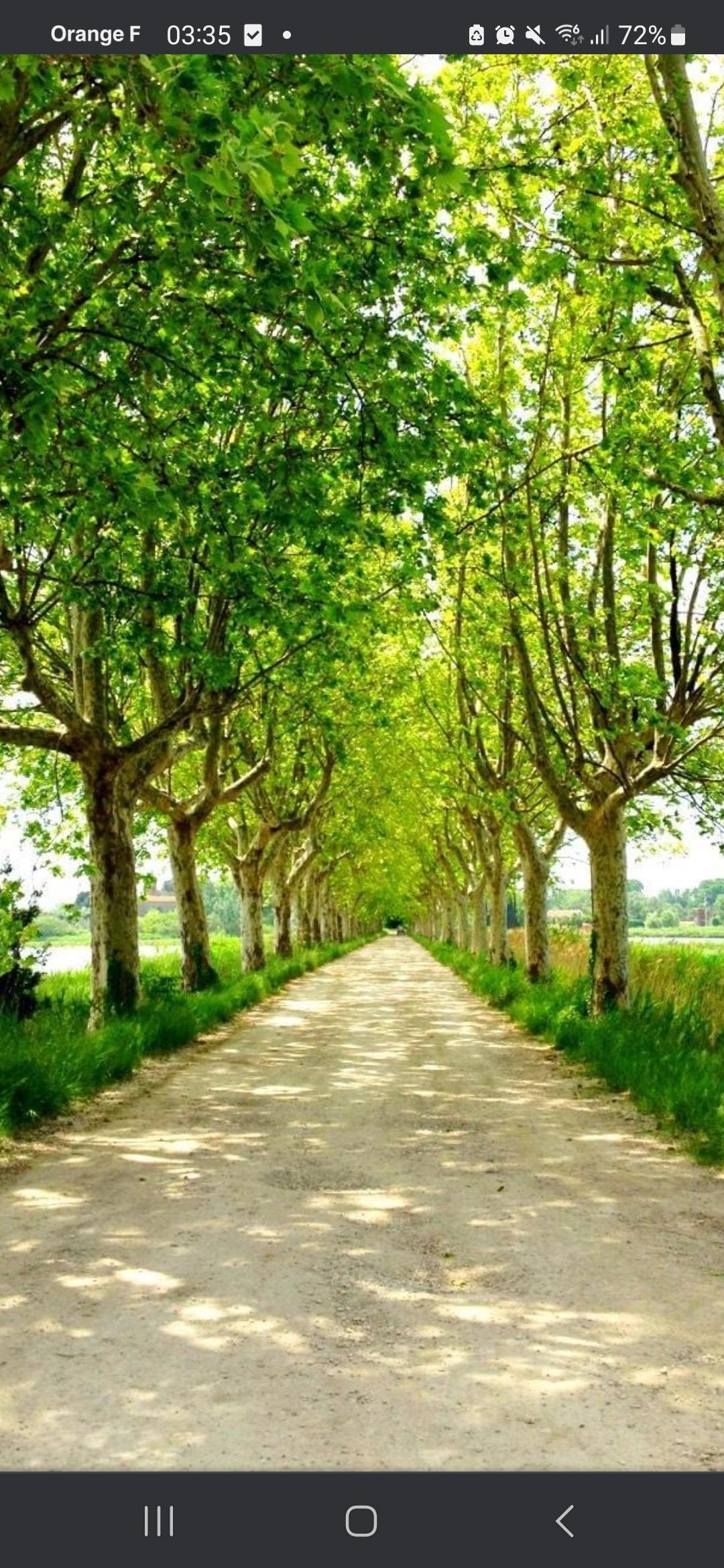 La Fenière, Arles - photo 9
