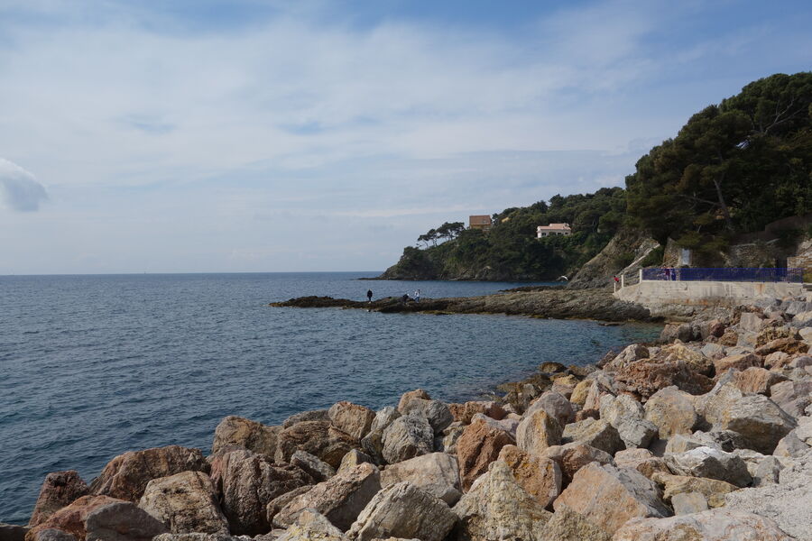 Le port du Niel à Giens