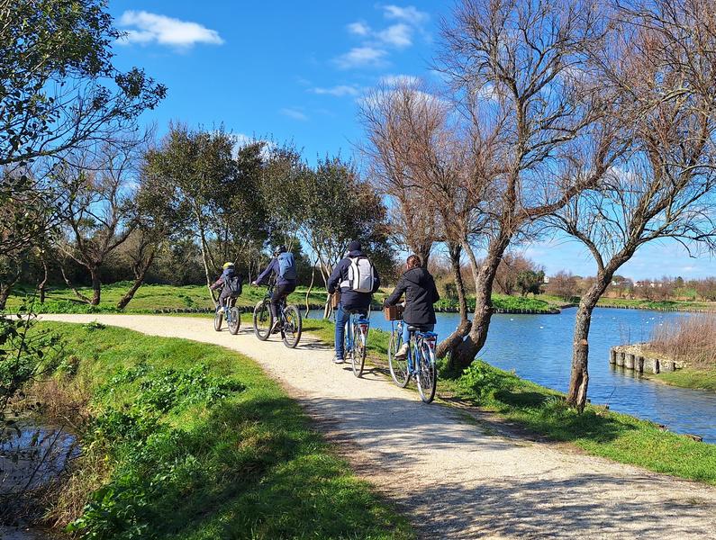 Quatre personnes sur des vélos, dans le marais.