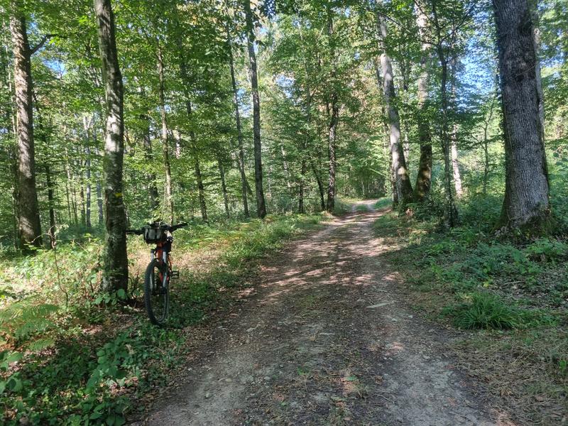 Les grandes terres de Marboz