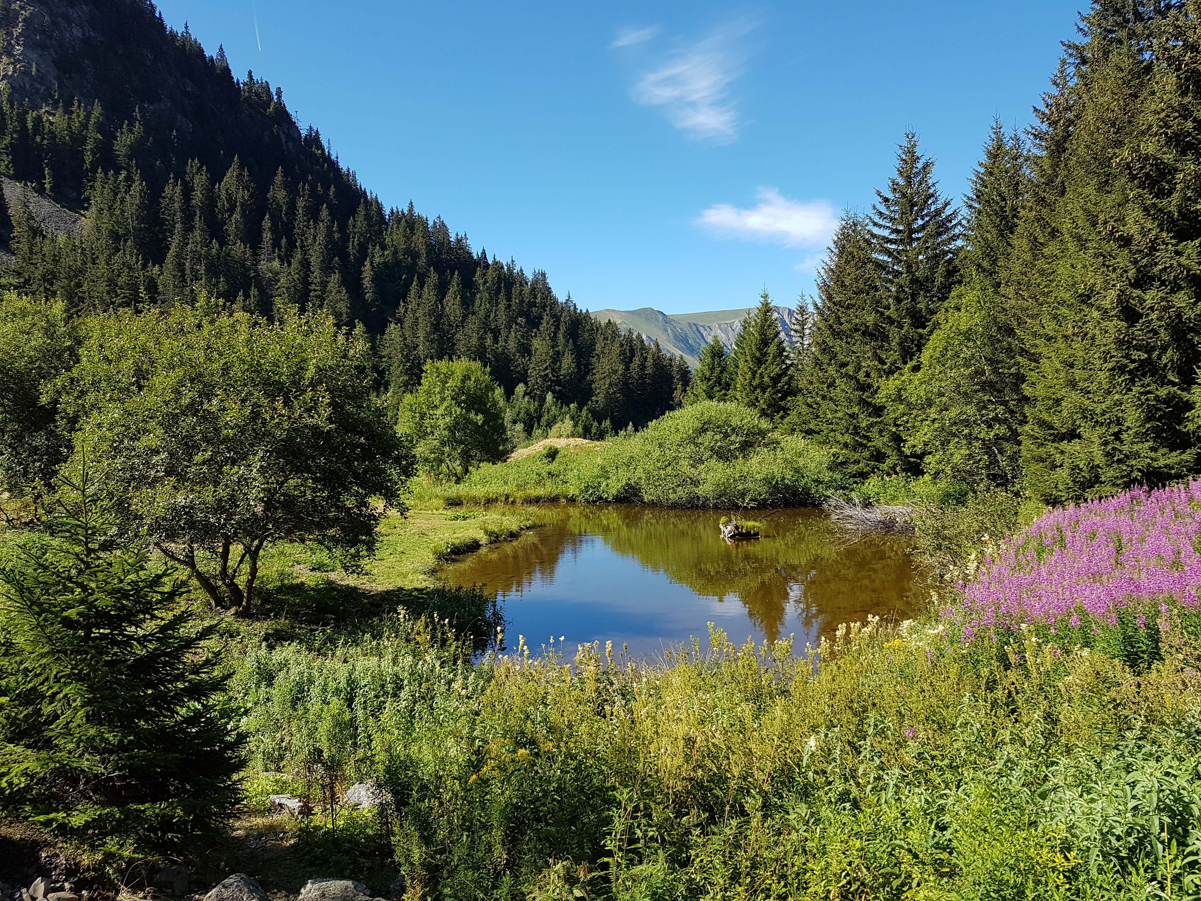 Lac de Prévourey - 8 km - Bleu