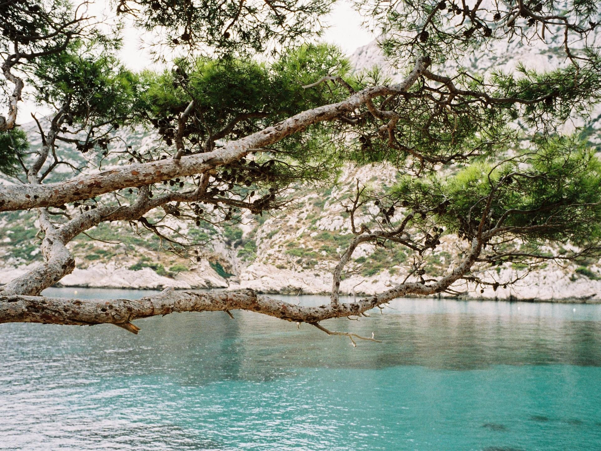 Parc national des Calanques