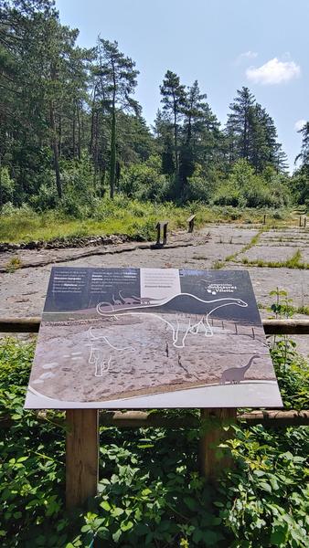 Circuit VTT n°28 (rouge) Val de Buenc - Balmont_Hautecourt-Romanèche