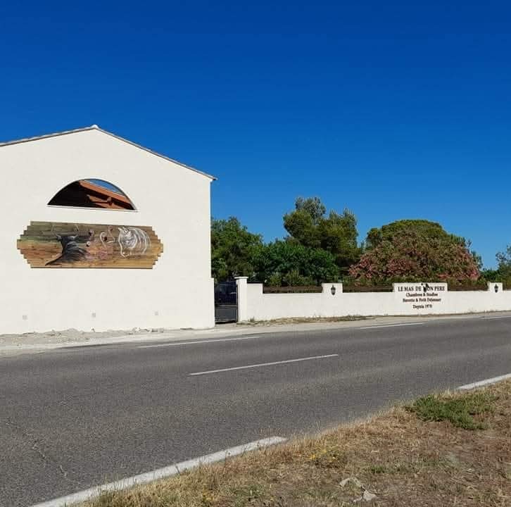 Le Mas de Mon Père, Saintes-Maries-de-la-Mer - photo 7
