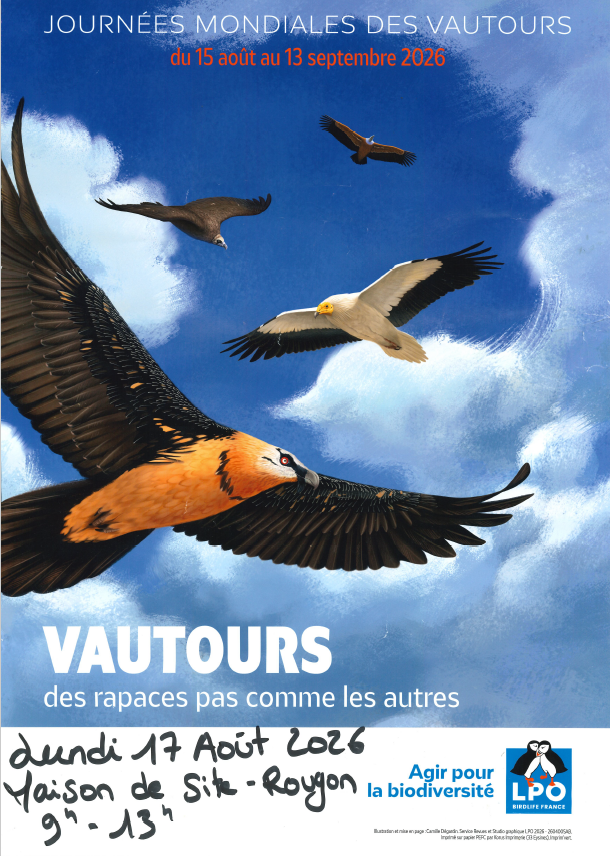 Journées mondiales des vautours