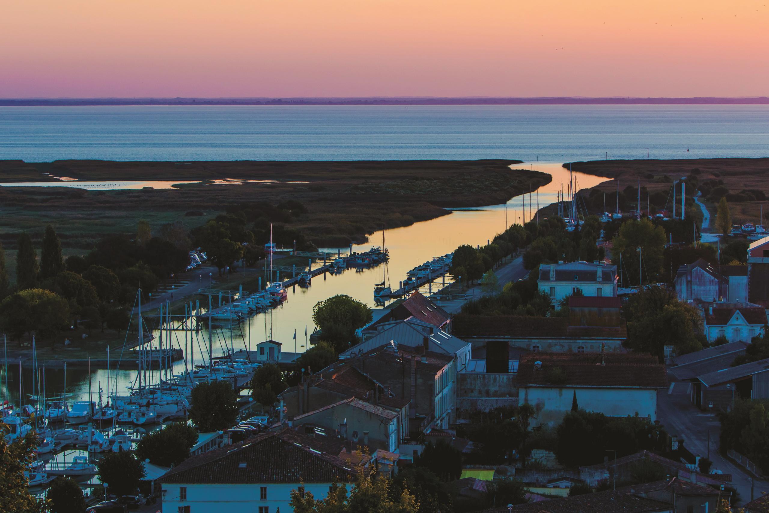 Balade nature "Au cœur de la Camargue Mortagnaise" au crépuscule