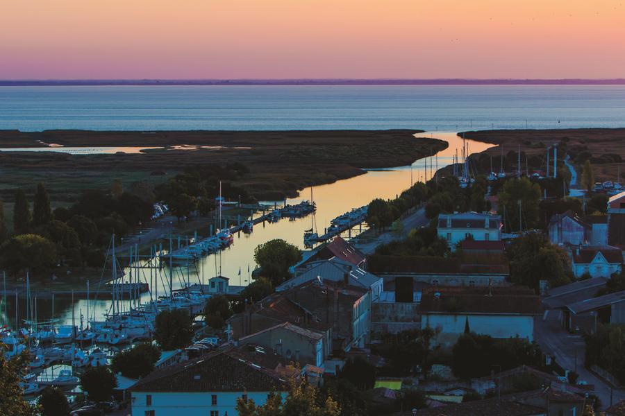 Balade nature "Au cœur de la Camargue Mortagnaise" au crépuscule