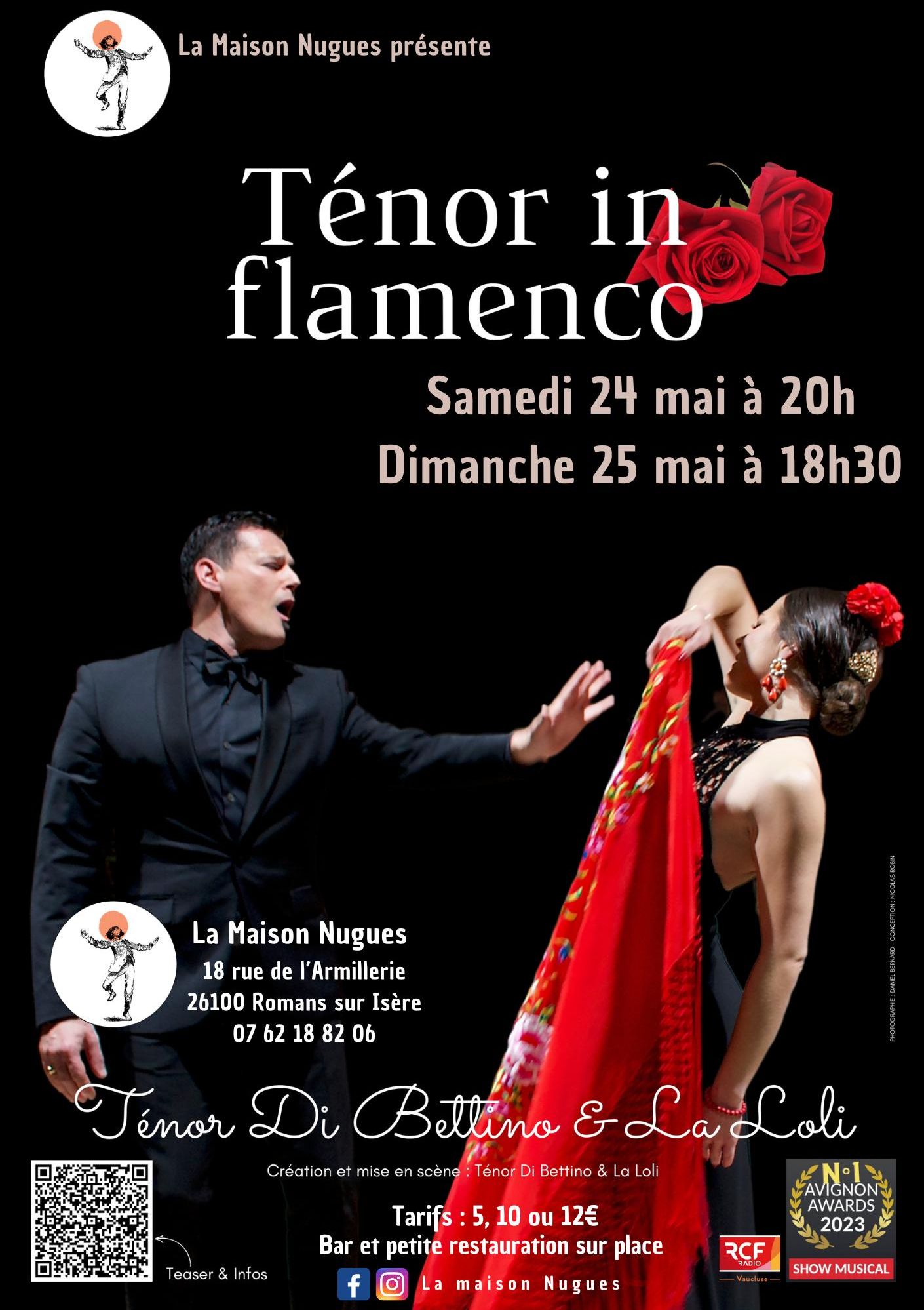 Tenor in Flamenco, le show musical du festival d'Avignon