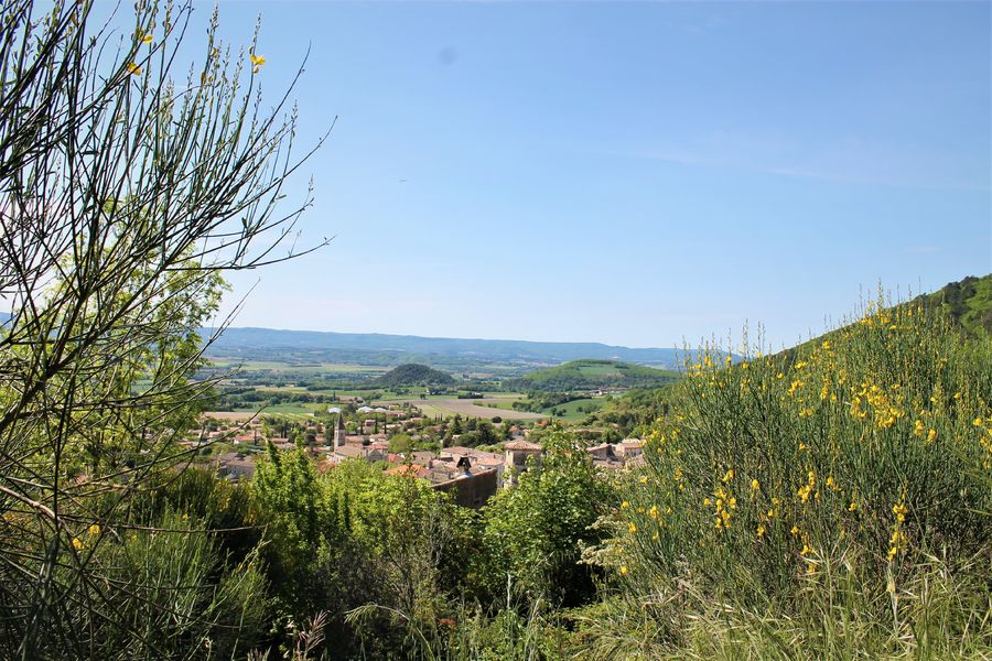 Forêt de Marsanne