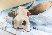 art vache