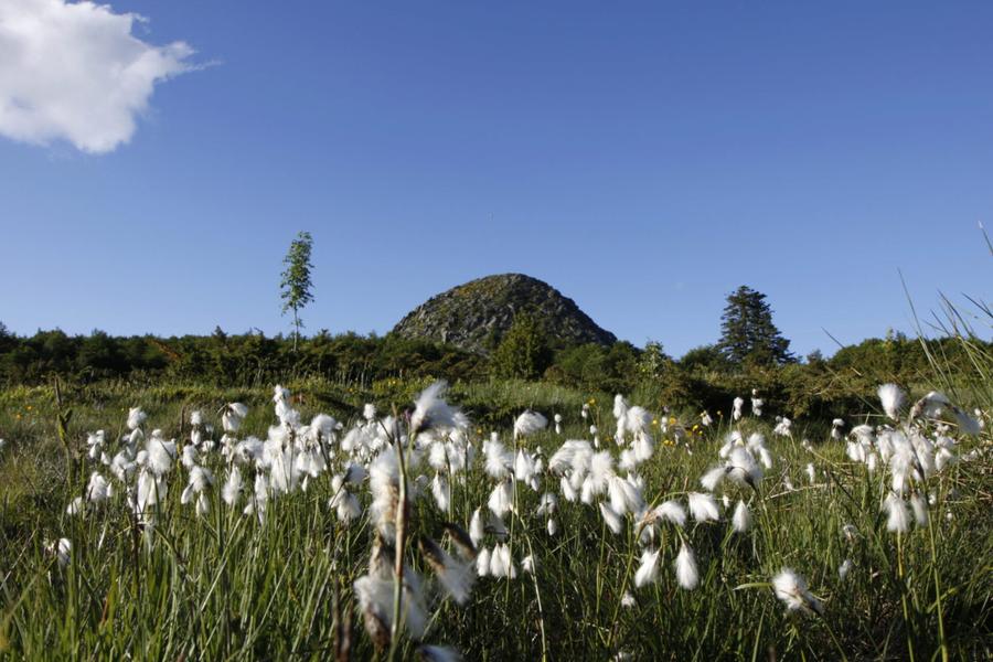 Escapade art, nature et sensations au pays des sucs volcaniques_La Rochette
