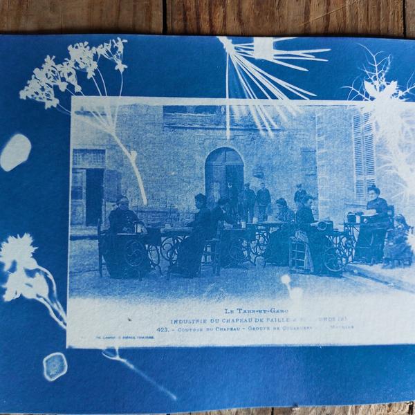Les ateliers de l'été : Atelier cyanotype