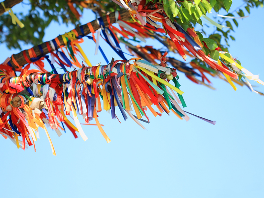 L’arbre à vœux pour le futur
