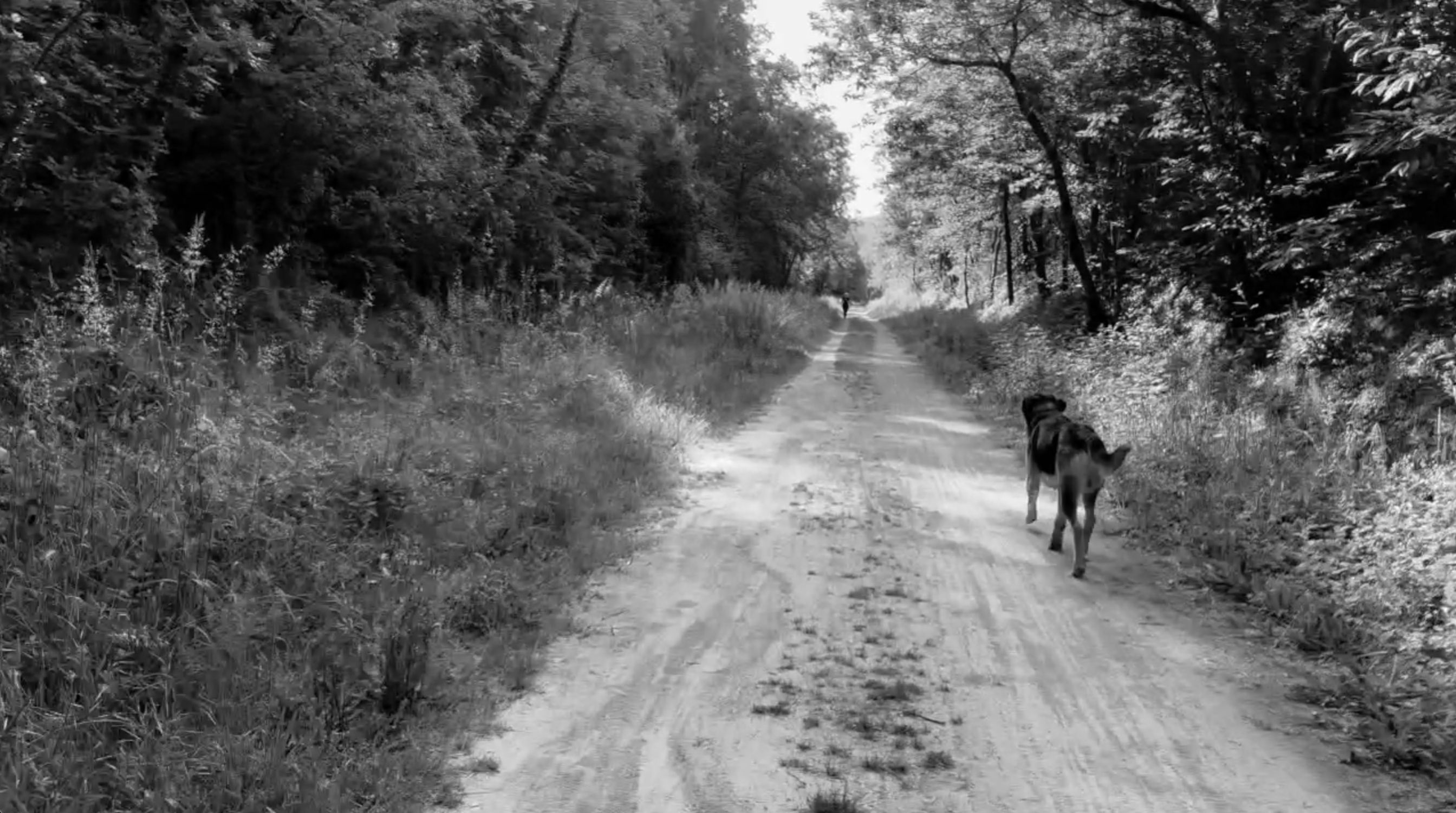 Yvonne Calsou-Sur la voie-vers Cournioue-vidéo-2024-03