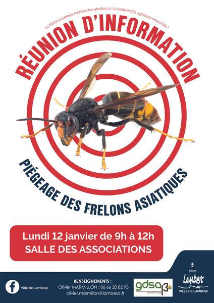 Réunion d'information sur le piégeage des frelons asiatiques