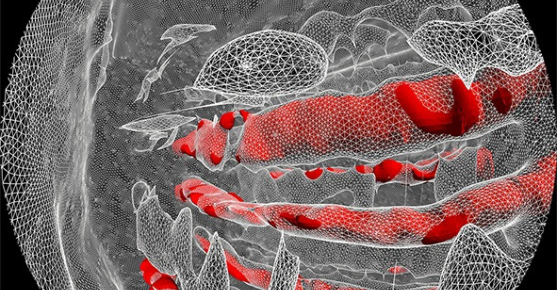 Conférence immersive : Bio-fabriquer le vivant