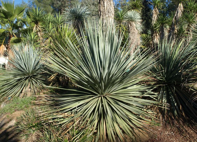 Jardin Zoologique Tropical à La Londe les Maures