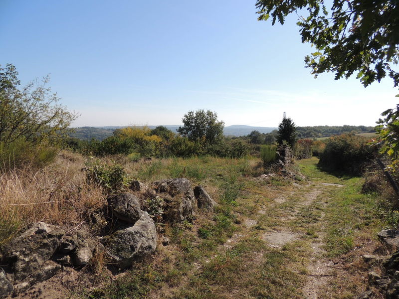 Chemin de Chavarnay - Montagny