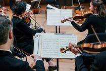 Quatuors Intimes_Roanne
