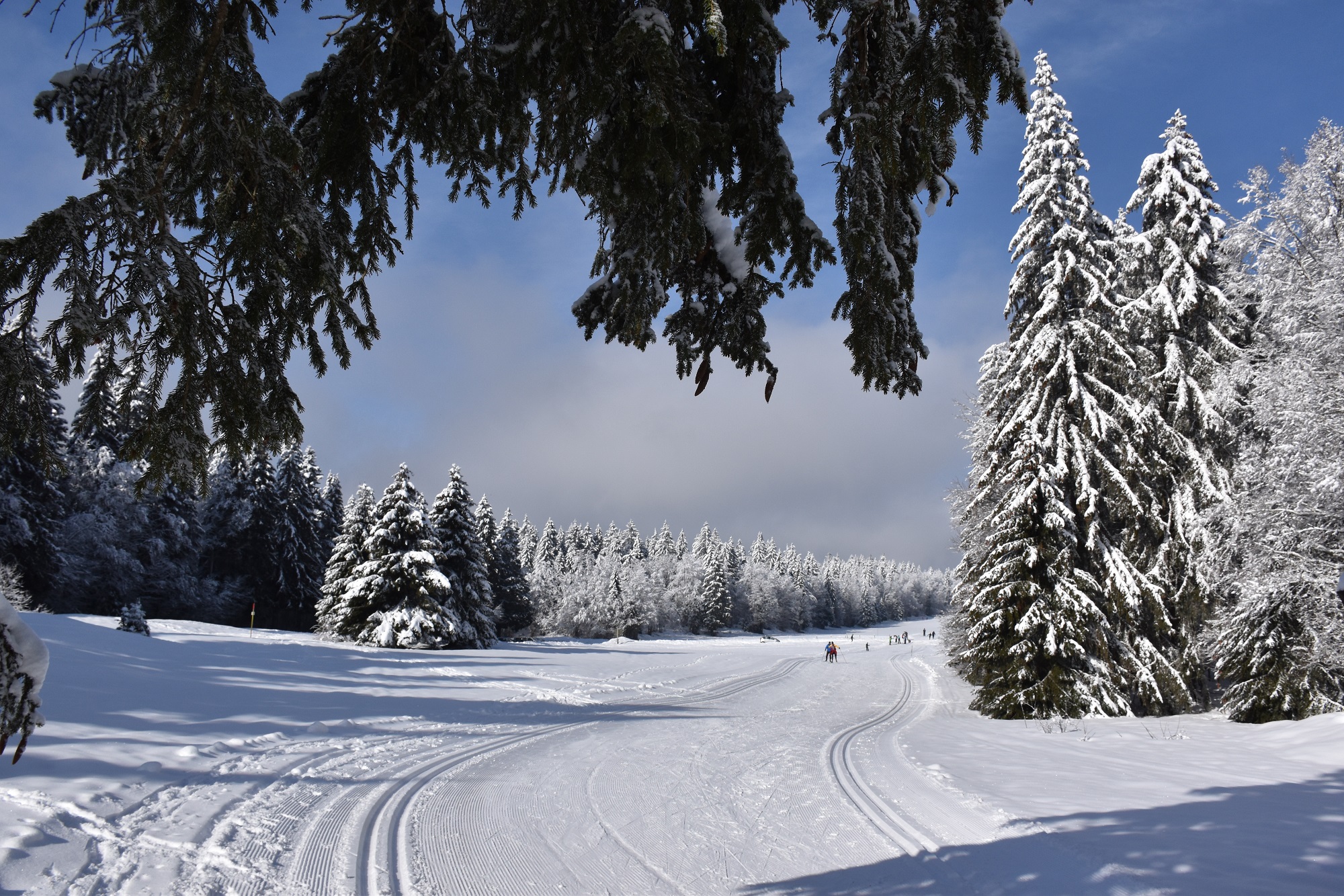 Piste verte de ski de fond du Plateau de Retord : La Vezeronce
