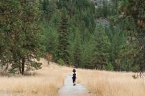 Trail