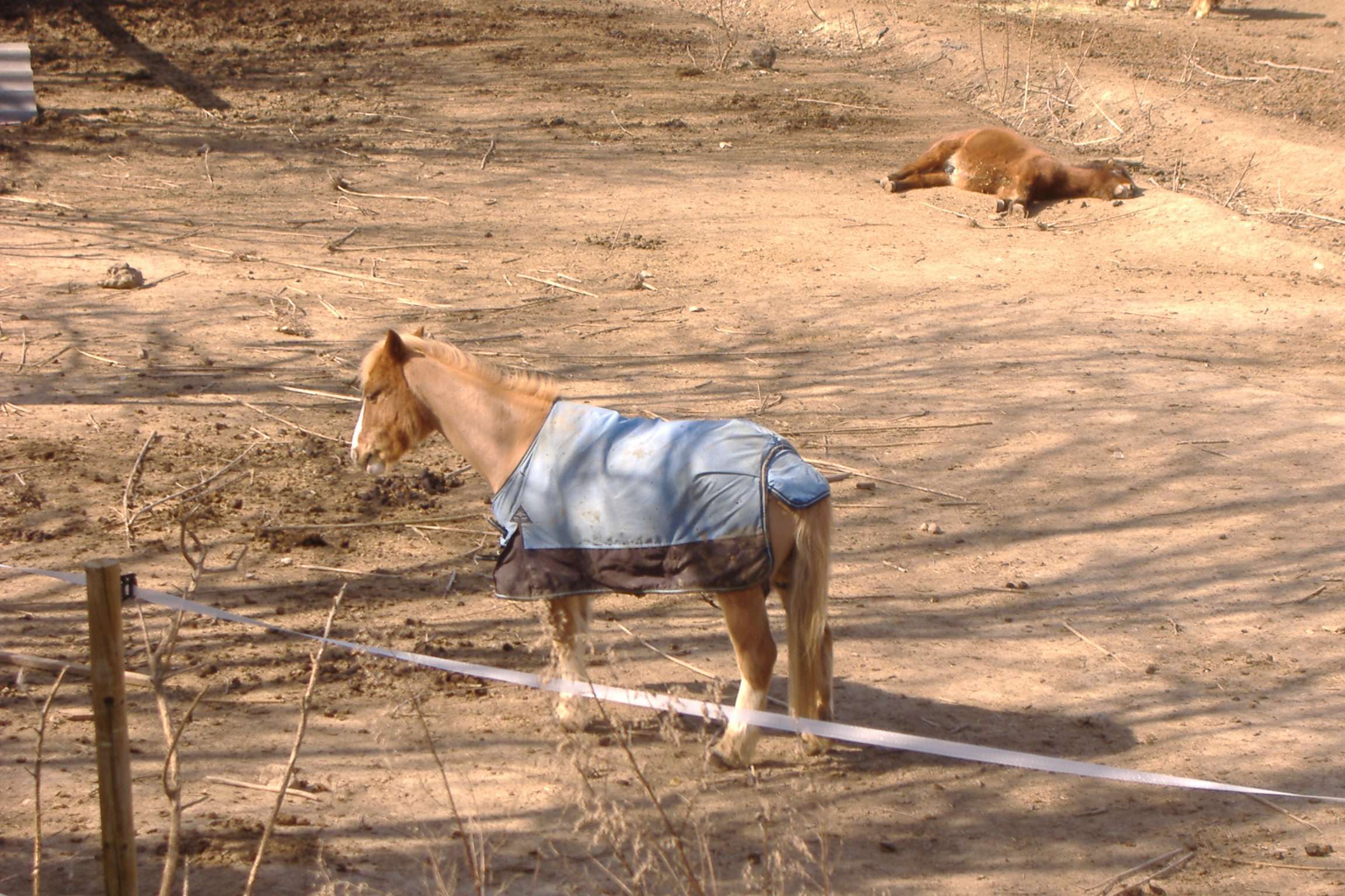 Ecuries de Loubresse - photo 4