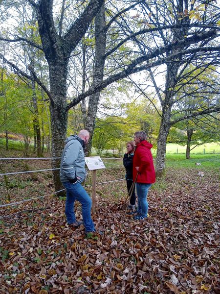 sentier botanique