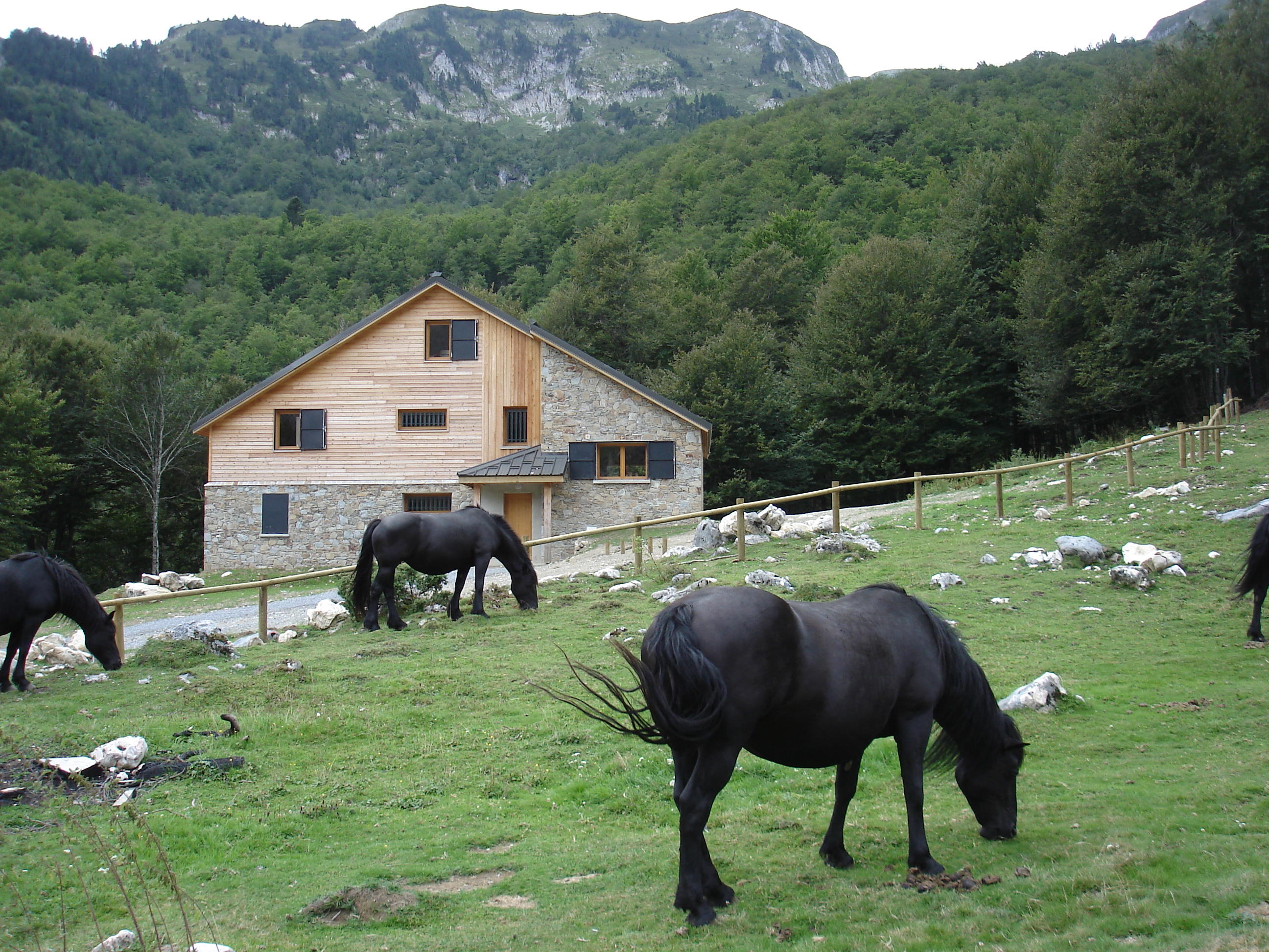 le gîte forestier