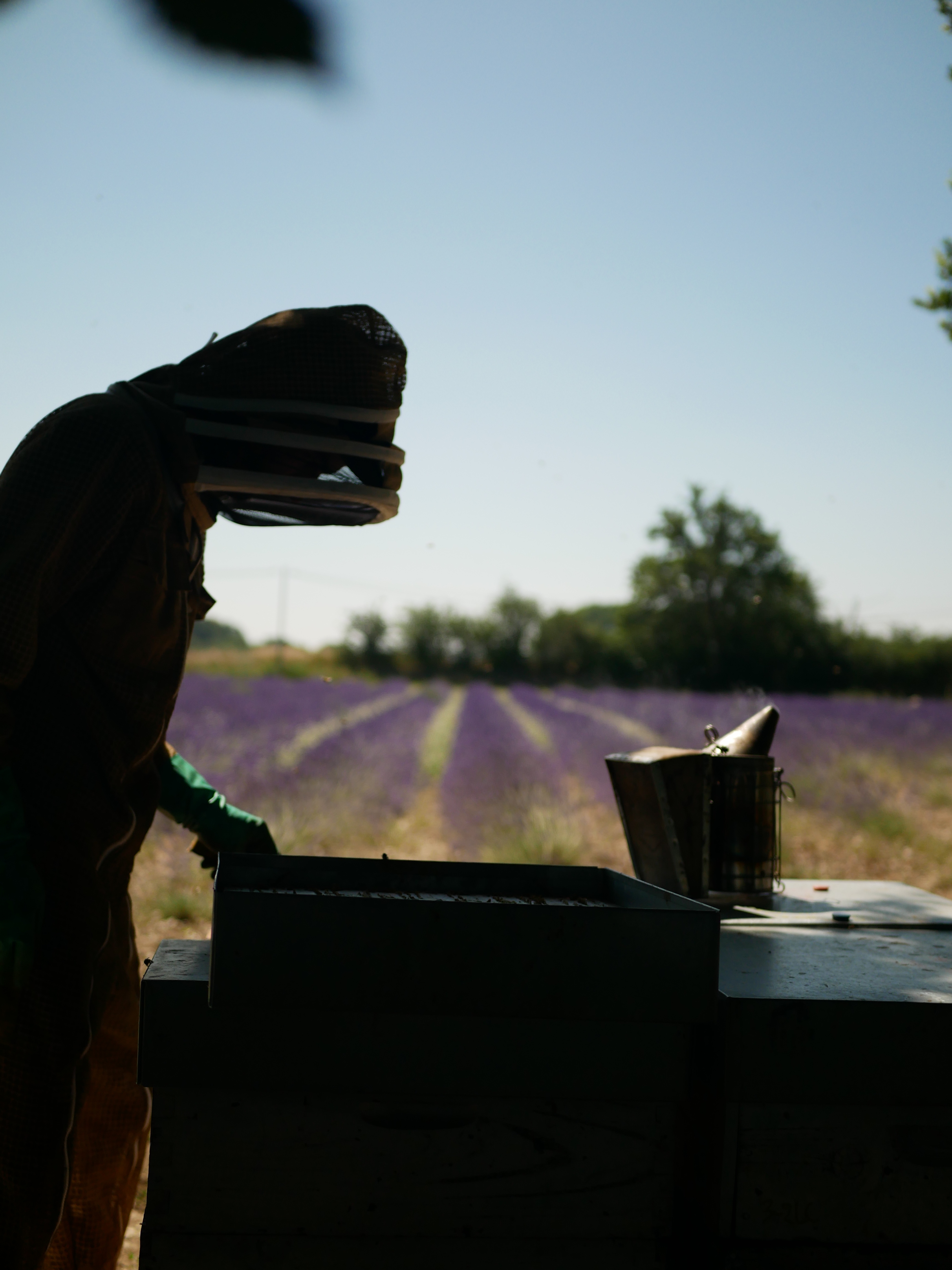 Butinarello - photo 2
