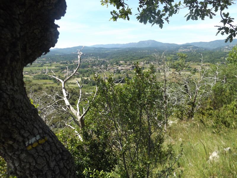 Vue sur le Tanargue depuis le plateau des Gras