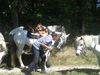 Country Pony ranch Balade Ⓒ Country Pony Ranch - 2014